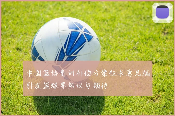 中国篮协青训补偿方案征求意见稿引发篮球界热议与期待