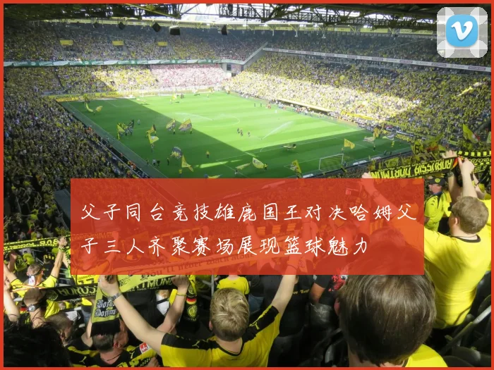 父子同台竞技雄鹿国王对决哈姆父子三人齐聚赛场展现篮球魅力